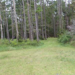 Photo #4 of 417 Mills, Oriental, NC 2.1 acres