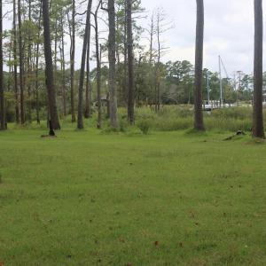 Photo #8 of 417 Mills, Oriental, NC 2.1 acres