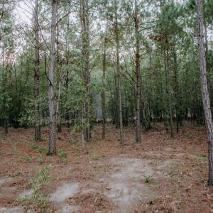 Lot 3