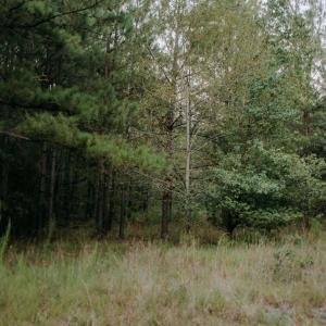 Lot 3
