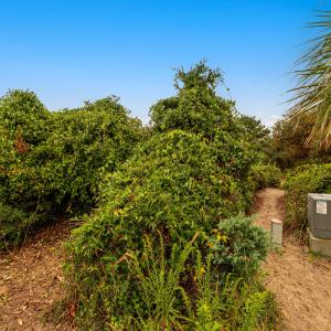 Vacant lot on Wyndtree Dr