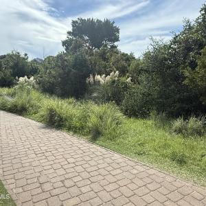 IMG_1758