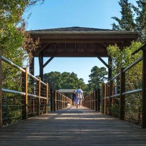 St James wooden Walkway