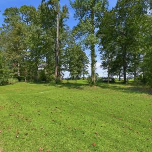 15-web-or-mls-IMG_8667