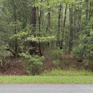 001 Main View 208 Pamlico River Dr