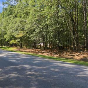 1 Main View 208 Pamlico River Dr