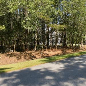 3-web-or-mls-DJI_20260930112727_0605_D