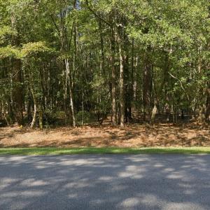 2-web-or-mls-DJI_20260930112539_0604_D