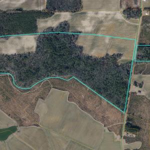 Edgecombe County, NC_screenshot_17841264