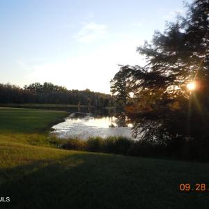 DSCN1746
