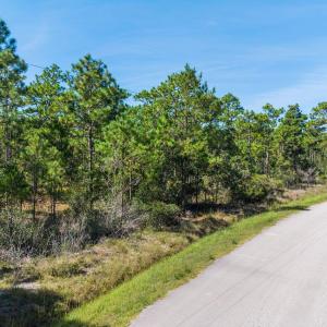 Hines Stump Sound Road