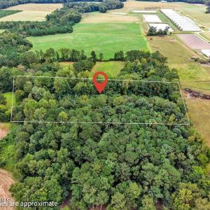 Facing Farm; homesite