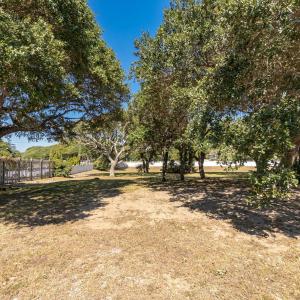 Vacant Lot in a Wooded Area