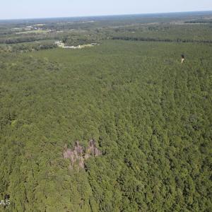 DJI_0441