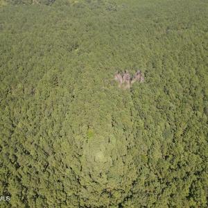 DJI_0440