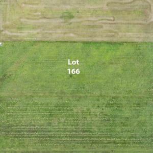lot11
