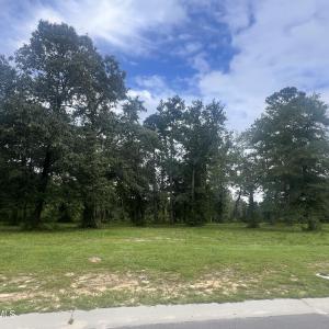 LOT 484