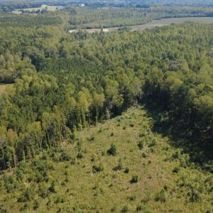 DJI_0503