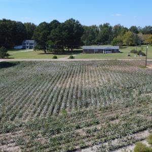 DJI_0513