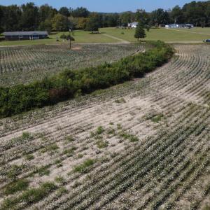 DJI_0510