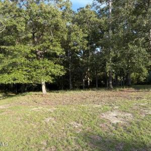 1579 Golden Marsh Court