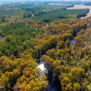 Cowell Creek