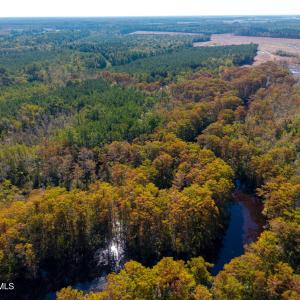 Cowell Creek