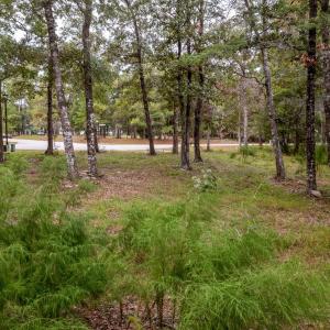 1764oysterharbour-5
