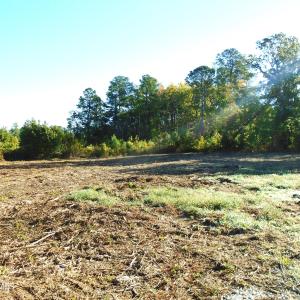 Cleared Home Site