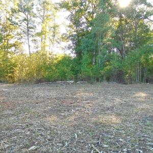 Large Cleared Home Site