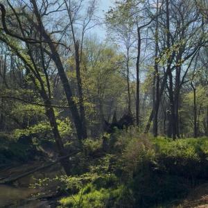 View recent photos