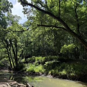 IMG_2427