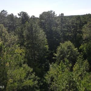 DJI_0431