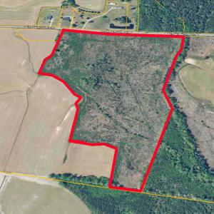 45 acres