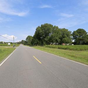 Rex Smith Lane from 903