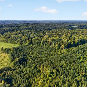 DJI_20260916090636_0077_D