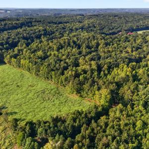 DJI_20260916090659_0081_D