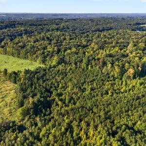 DJI_20260916090616_0071_D