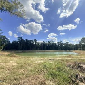 LOT 608