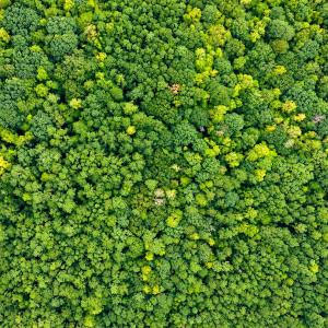DJI_20260922115140_0266_D