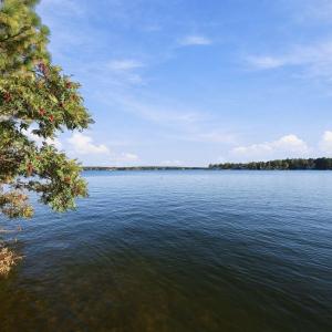 15-web-or-mls-IMG_2236