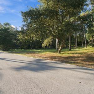 14-web-or-mls-DSC00756