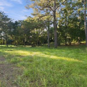 15-web-or-mls-DSC00759