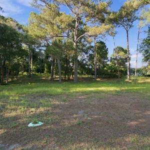 13-web-or-mls-DSC00755