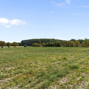 DJI_0312