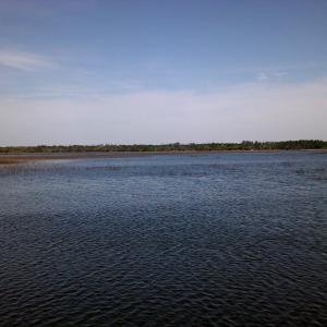 DSCF0029