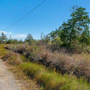 Waterfront vacant lot in Stacy