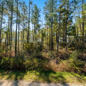 Waterfront vacant lot in Stacy