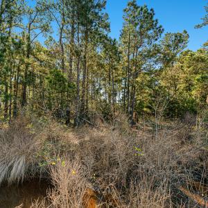 Waterfront vacant lot in Stacy