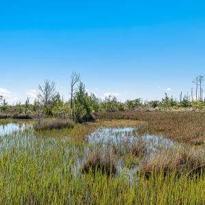 Waterfront vacant lot in Stacy